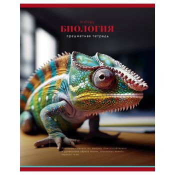 Тетрадь предметная 40л. BG 