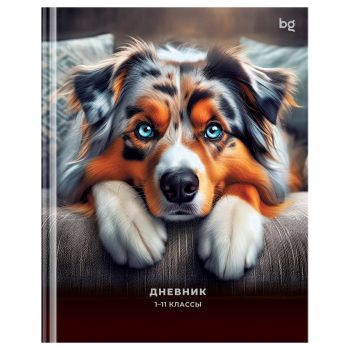 Дневник 1-11 кл. 40л. (твердый) BG 