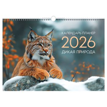 Календарь-планер настенный перекидной на гребне, А3, 12л. BG Календарь-планер настенный перекидной на гребне, А3, 12л. BG