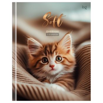 Дневник 1-4 кл. 48л. (твердый) BG Дневник 1-4 кл. 48л. (твердый) BG
