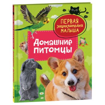 Энциклопедия Росмэн 167*220, Энциклопедия Росмэн 167*220,