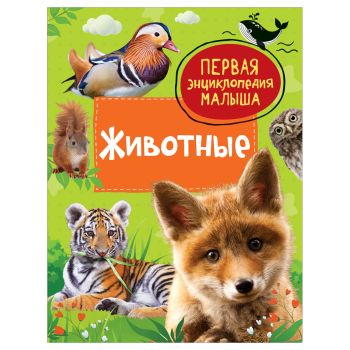 Энциклопедия Росмэн 167*220, Энциклопедия Росмэн 167*220,